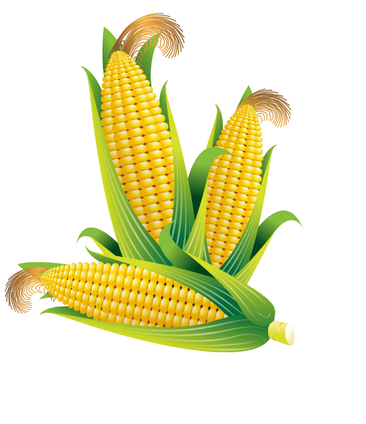 Marjan%20Maize%20Products%20Pvt.%20Ltd