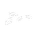 Marjan%20Maize%20Products%20Pvt.%20Ltd