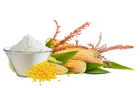 Marjan%20Maize%20Products%20Pvt.%20Ltd